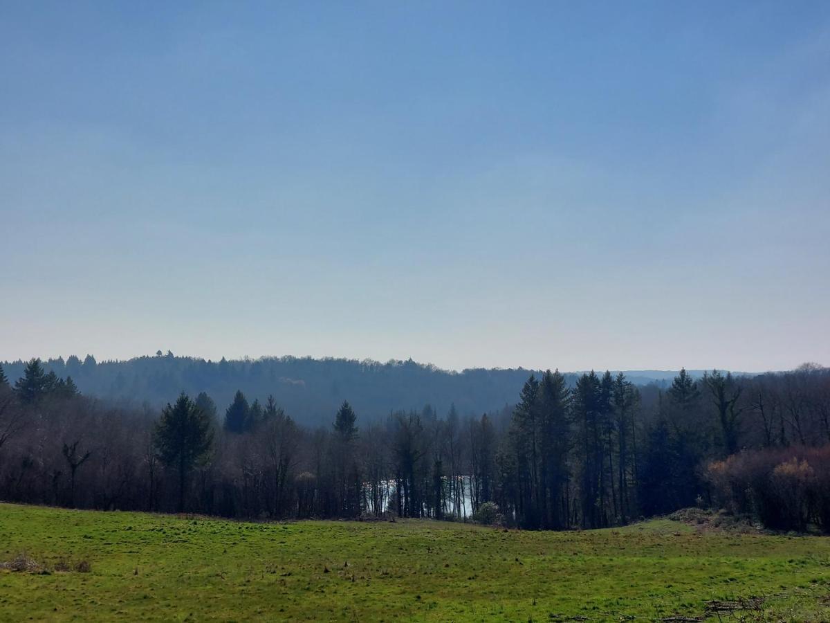 "Le Petit Bonheur" Gite Van 4 Tot 12 Personen Met Prive Vijver Van 2Ha Maisonnais-Sur-Tardoire Exterior photo